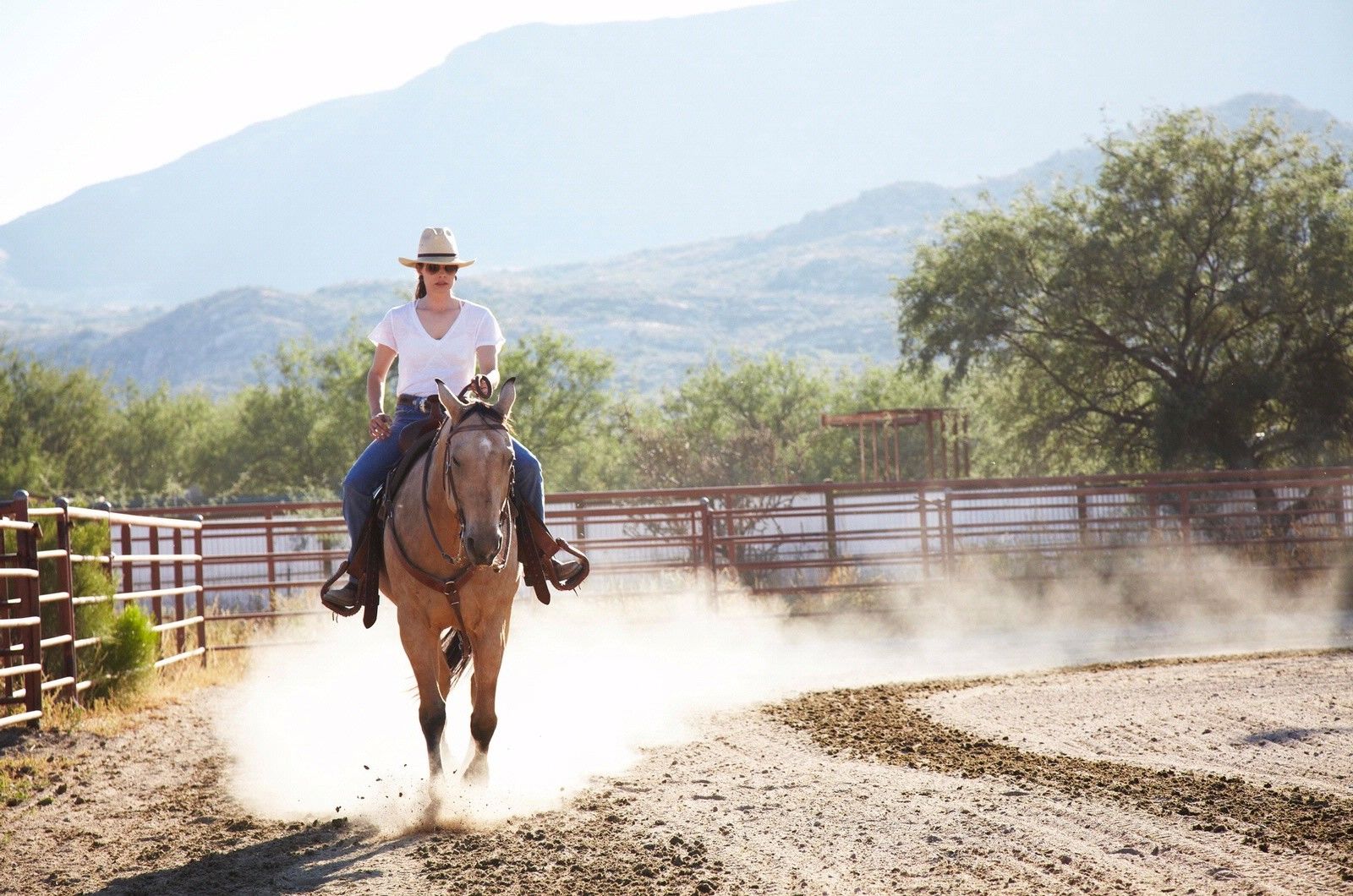 Miraval Resort & Spa (Adults Only) Catalina ภายนอก รูปภาพ