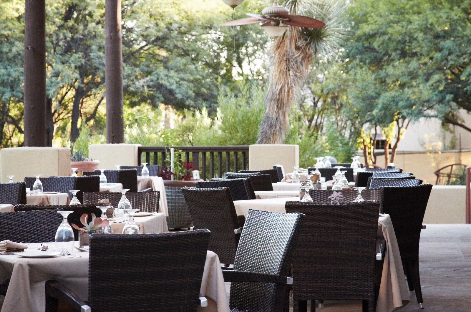 Miraval Resort & Spa (Adults Only) Catalina ภายนอก รูปภาพ