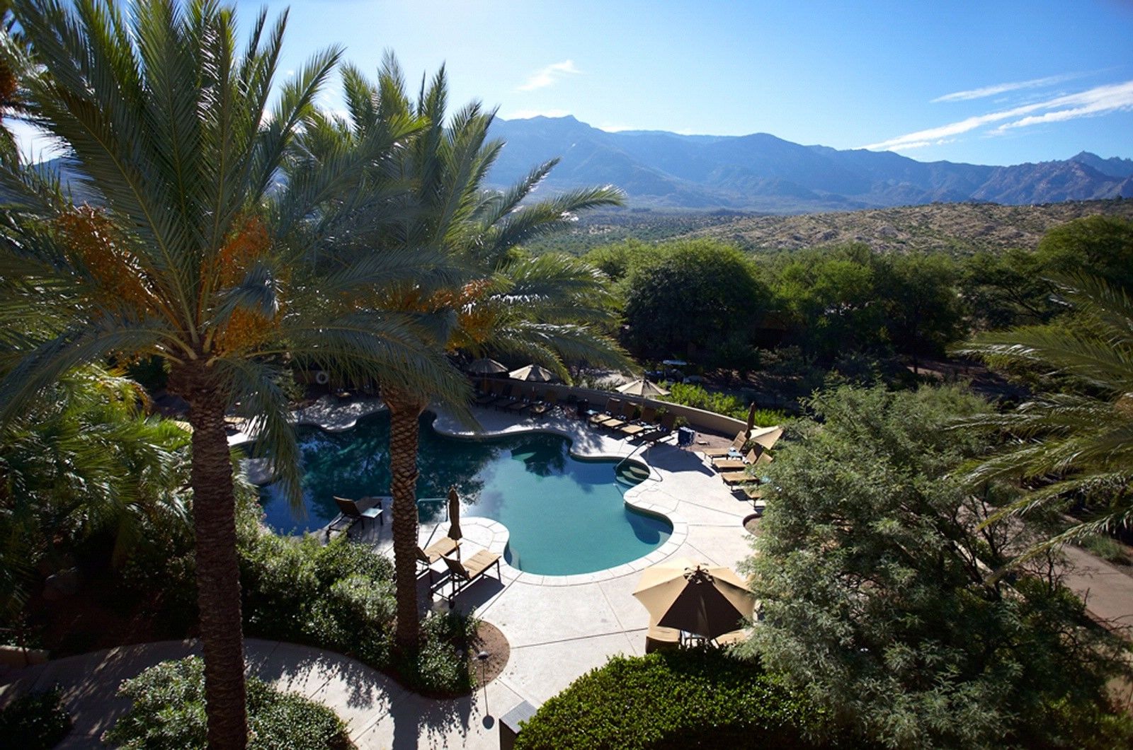 Miraval Resort & Spa (Adults Only) Catalina สิ่งอำนวยความสะดวก รูปภาพ